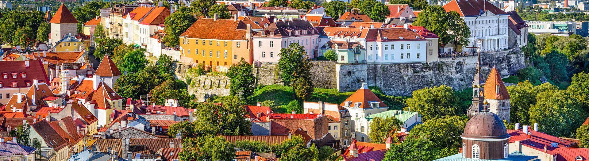 Licencia de sistema de pago en Estonia