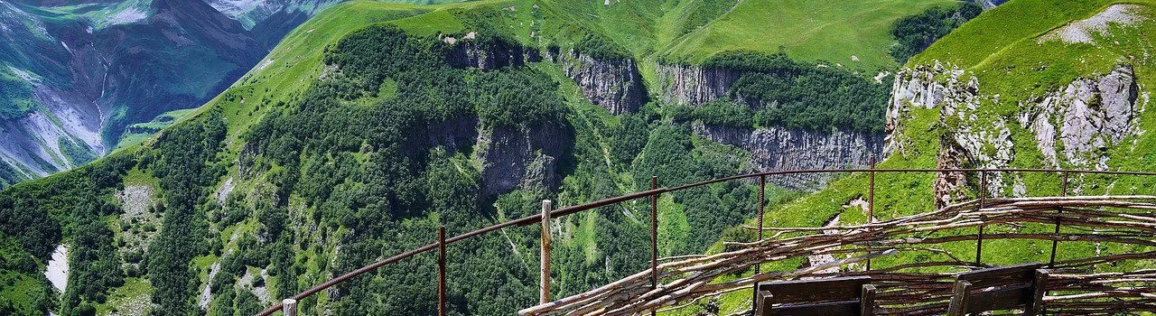 Licencia de sistema de pago en Georgia