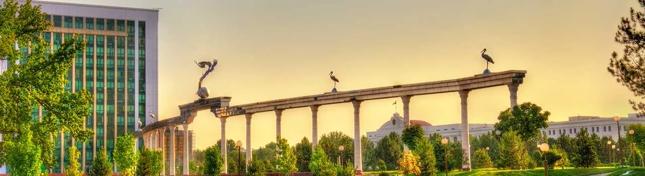 Получите криптолицензию в Узбекистане